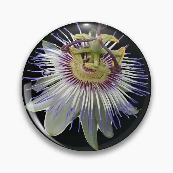 Item preview, Passion Flower Close Up designed and sold by DesignMore21.