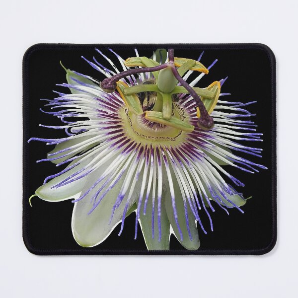 Item preview, Passion Flower Close Up designed and sold by DesignMore21.
