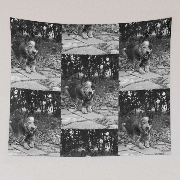 Item preview, Blue Heeler Relaxing in the Shade designed and sold by Happykale.