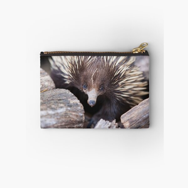 Item preview, Meet Ernie the Echidna designed and sold by Malcolm Katon.