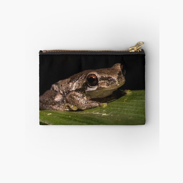 Item preview, Bleating Tree Frog designed and sold by Derek Byrne.