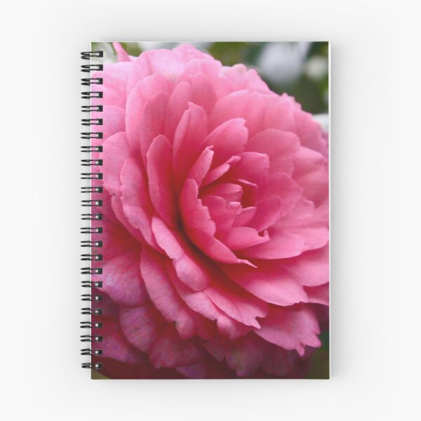 Item preview, Rosado  designed and sold by shoot2print.