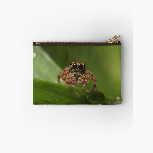 Item preview, (Servaea vestita) Jumping Spider designed and sold by Kerrod Sulter.