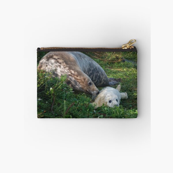 Item preview, Atlantic Grey Seal  and her pup designed and sold by Chris McIlreavy.