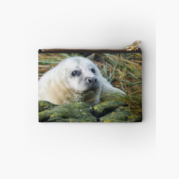 Item preview, Atlantic Grey Seal Pup designed and sold by Chris McIlreavy.