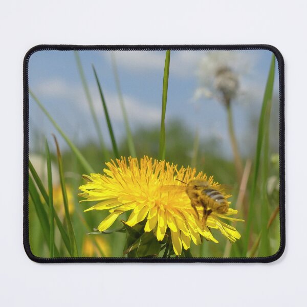 Item preview, Bee on dandelion flower designed and sold by mary02.