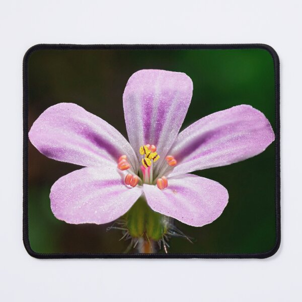 Item preview, Robert Geranium 01 designed and sold by Weston  Westmoreland.