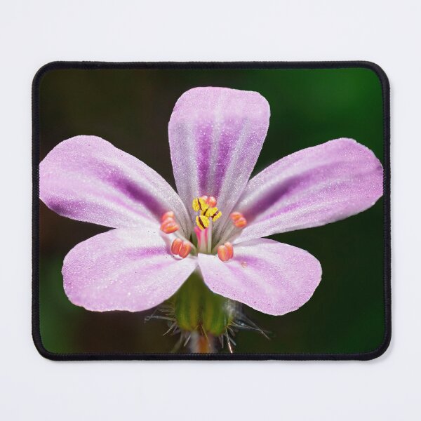 Item preview, Robert Geranium 02 designed and sold by Weston  Westmoreland.