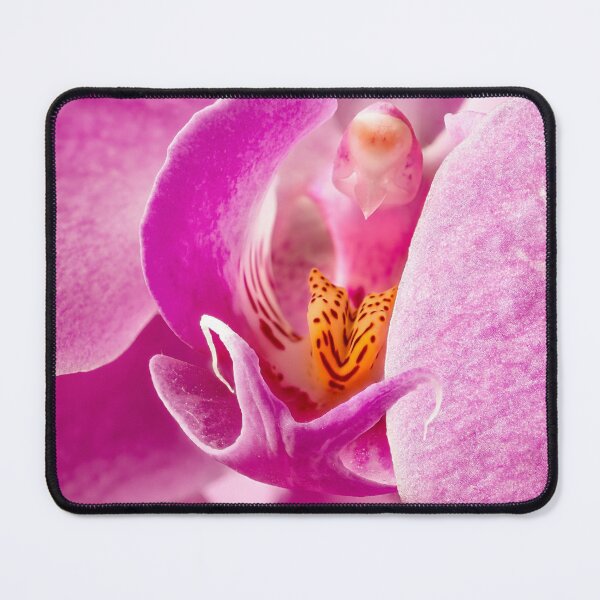 Item preview, Peeping Phalaenopsis designed and sold by Weston Westmoreland.