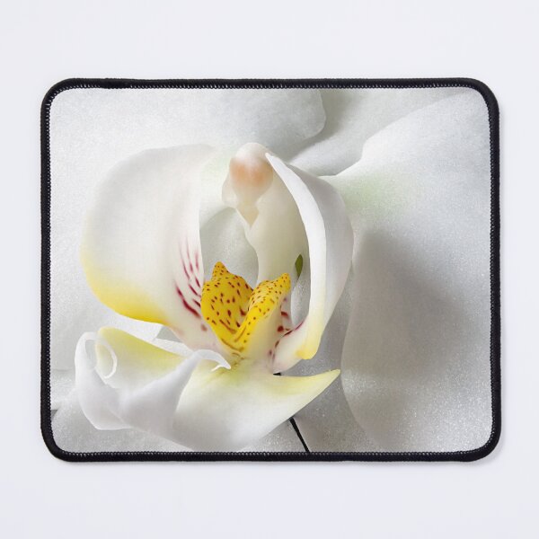 Item preview, Two Phalaenopsis 01 designed and sold by Weston Westmoreland.