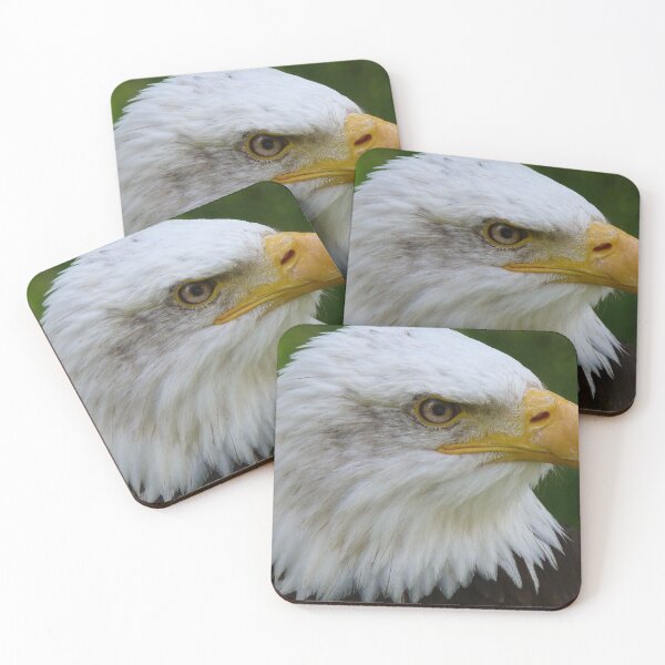 Item preview, KING EAGLE BIRD designed and sold by MonArtisteSam.