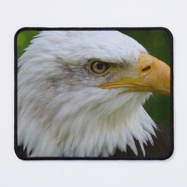 Item preview, KING EAGLE BIRD designed and sold by MonArtisteSam.