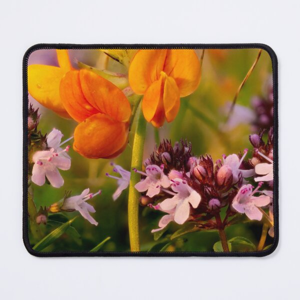 Item preview, Bird's-foot Trefoil and Thyme designed and sold by Weston  Westmoreland.
