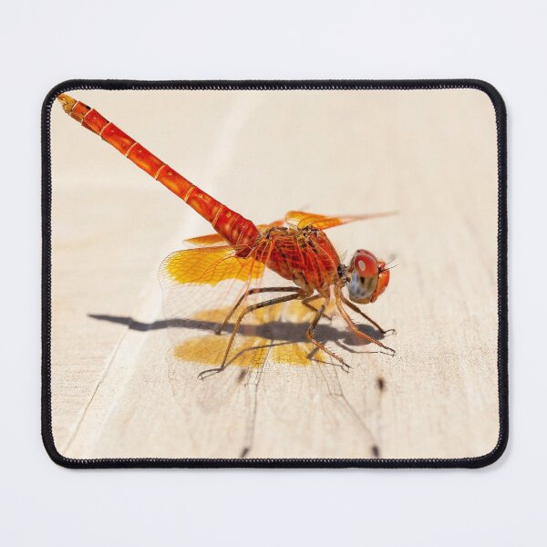 Item preview, Red Dragonfly 02 designed and sold by Weston  Westmoreland.