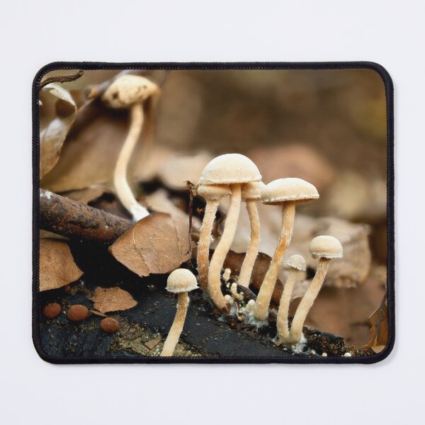 Item preview, Tiny Natural Recyclers designed and sold by Weston Westmoreland.