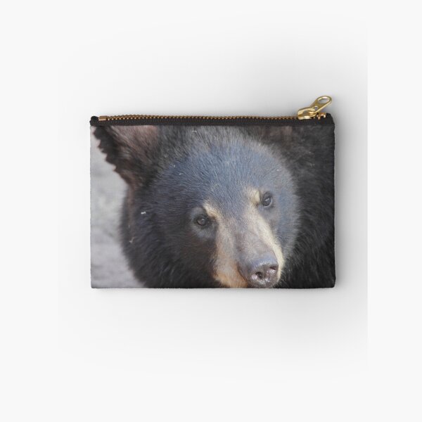 Item preview, North American Black Bear designed and sold by Jazzy724.