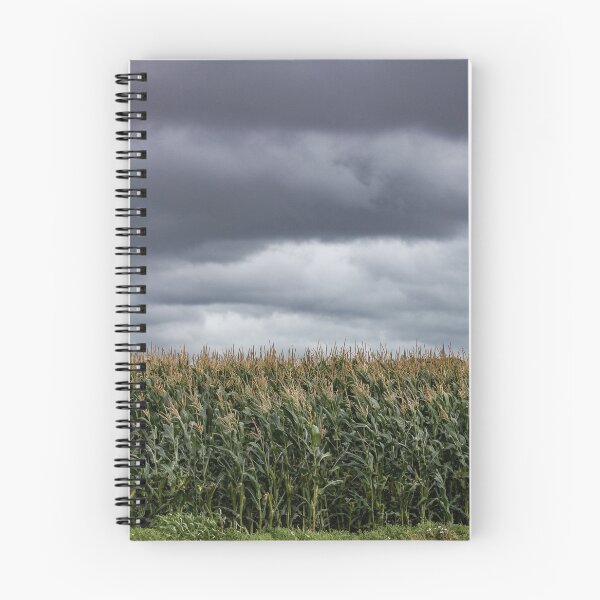Item preview, Wheatfield designed and sold by Rhiannon Phillips.