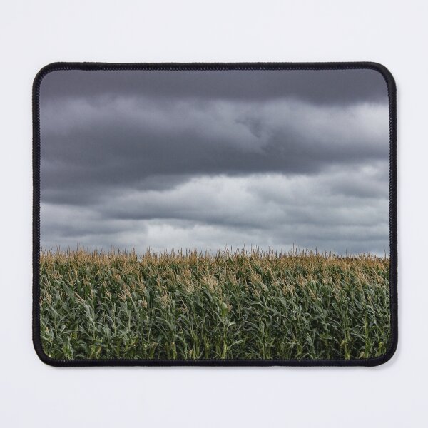 Item preview, Wheatfield designed and sold by Rhiannon Phillips.