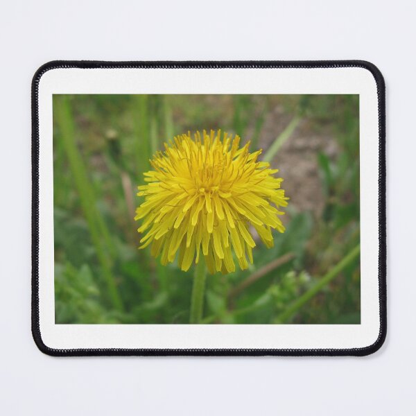 Item preview, Dandelion flower designed and sold by Parafull.