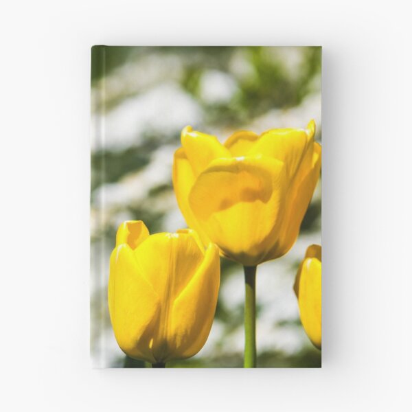 Artikelvorschau, gelbe tulpenblumen entworfen und verkauft von markspics.