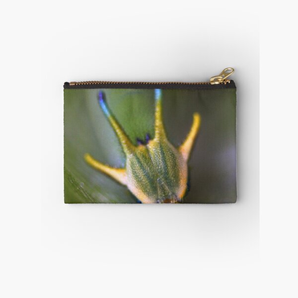 Item preview, Polyura pyrrhus-The caterpillar stage. designed and sold by andrachne.