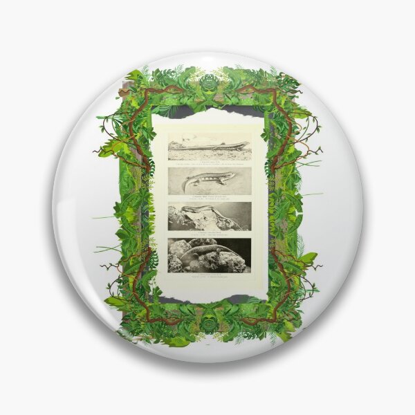 Item preview, Zoological board "Lygosomas". designed and sold by AdvanceDesign.
