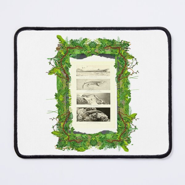 Item preview, Zoological board "Lygosomas". designed and sold by AdvanceDesign.