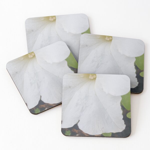 Item preview, Lovely Close Up of a White Flower designed and sold by Bennymp.