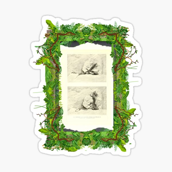 Aperçu de l'œuvre Planche zoologique "Lézards charités". créée et vendue par AdvanceDesign.