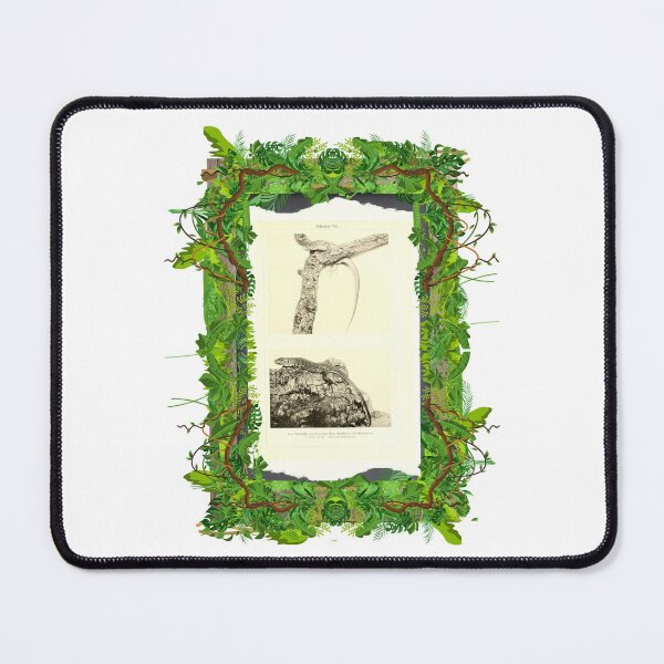 Item preview, Zoological board "Lizards". designed and sold by AdvanceDesign.