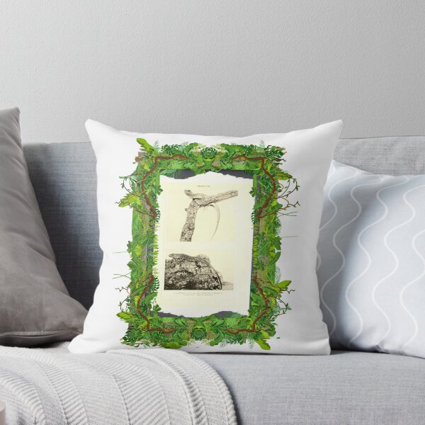 Item preview, Zoological board "Lizards". designed and sold by AdvanceDesign.