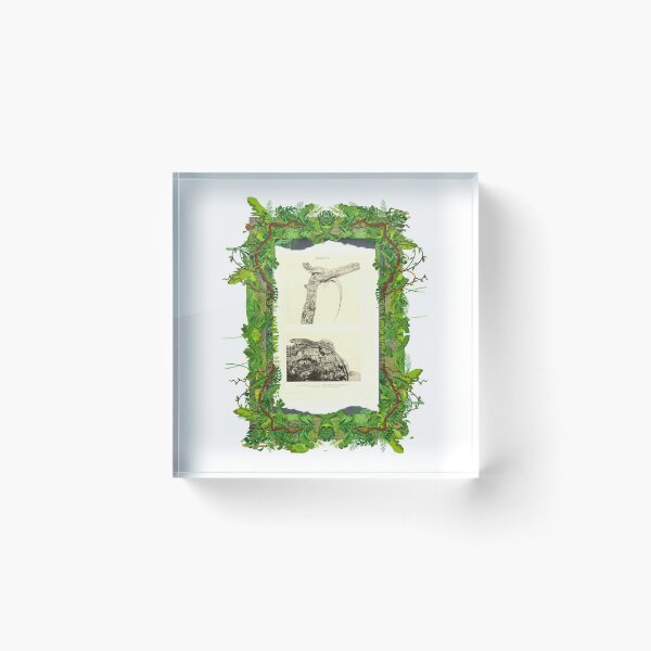 Item preview, Zoological board "Lizards". designed and sold by AdvanceDesign.