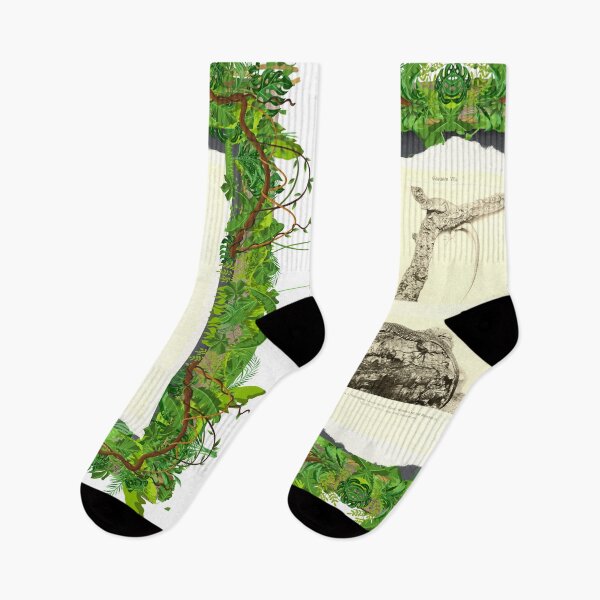 Item preview, Zoological board "Lizards". designed and sold by AdvanceDesign.