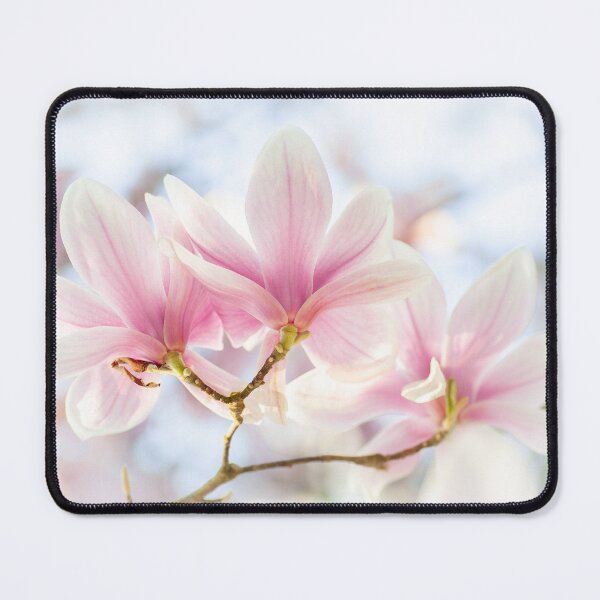 Item preview, Pink magnolia in bloom designed and sold by Mirka Rueda Rodriguez.