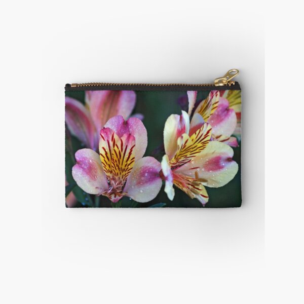 Item preview, Alstroemeria designed and sold by WatscapePhoto.