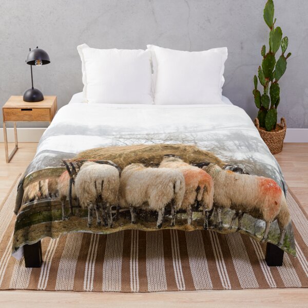 Item preview, Grazing Sheep in The Peak District designed and sold by Jane Stanley Photography.