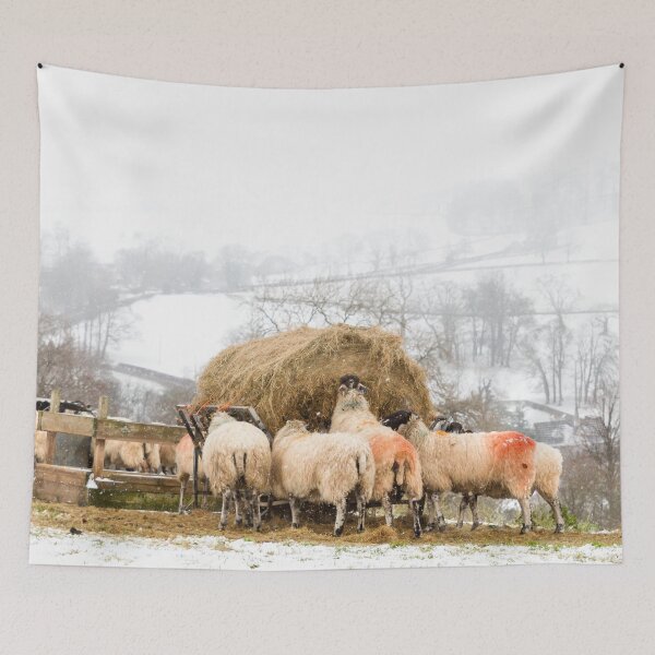 Item preview, Grazing Sheep in The Peak District designed and sold by Jane Stanley Photography.