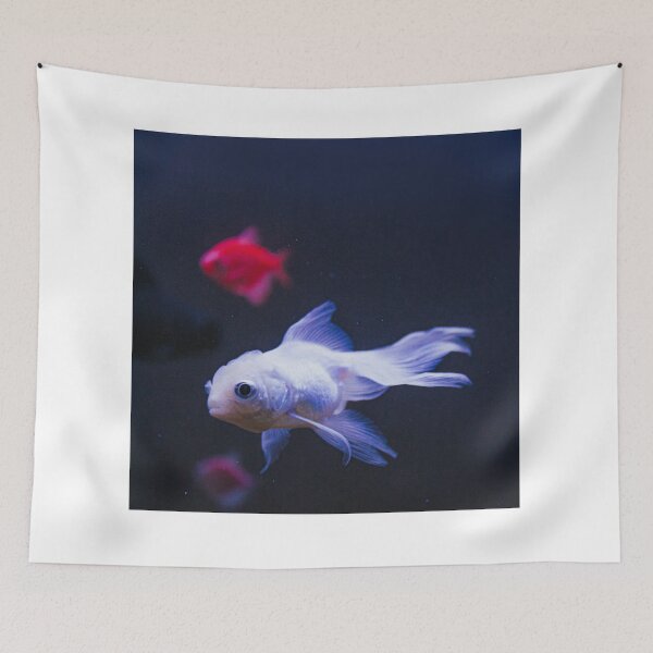 Item preview, goldfish photo with high resolution quality designed and sold by Allyouneed-2.