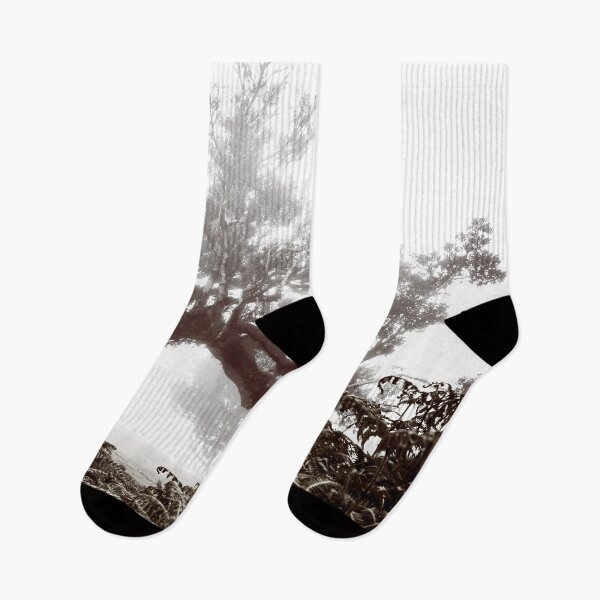 Item preview, Madeira Mystical Forest 2 designed and sold by Interpret108.