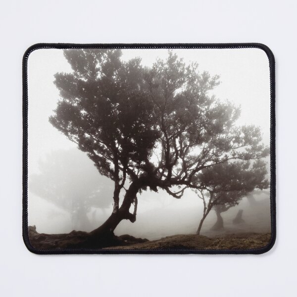 Item preview, Madeira Mystical Forest 1 designed and sold by Interpret108.