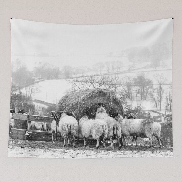 Item preview, Grazing Sheep in The Peak District designed and sold by Jane Stanley Photography.