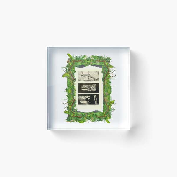 Item preview, Zoological board "Gilatiers". designed and sold by AdvanceDesign.
