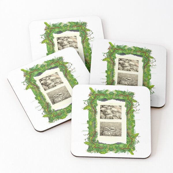 Item preview, Zoological board "Eels". designed and sold by AdvanceDesign.