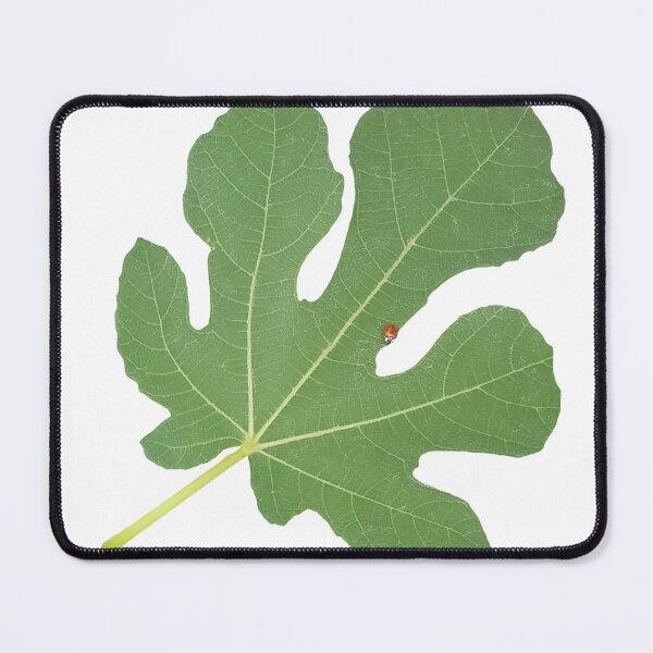 Item preview, Fig Leaf designed and sold by DesignMore21.