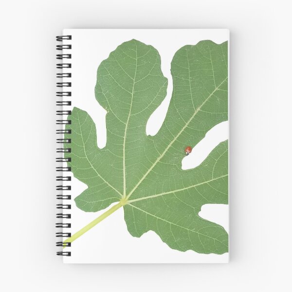 Item preview, Fig Leaf designed and sold by DesignMore21.