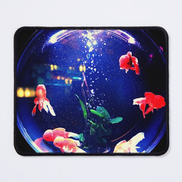 Item preview, goldfish photo with high resolution quality designed and sold by Allyouneed-2.