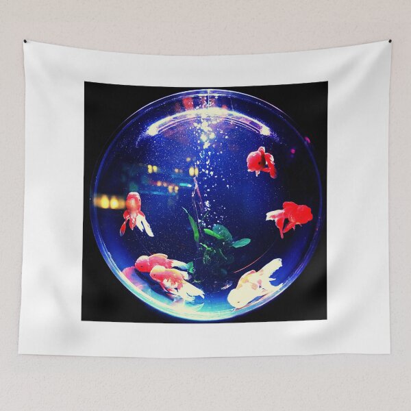 Item preview, goldfish photo with high resolution quality designed and sold by Allyouneed-2.
