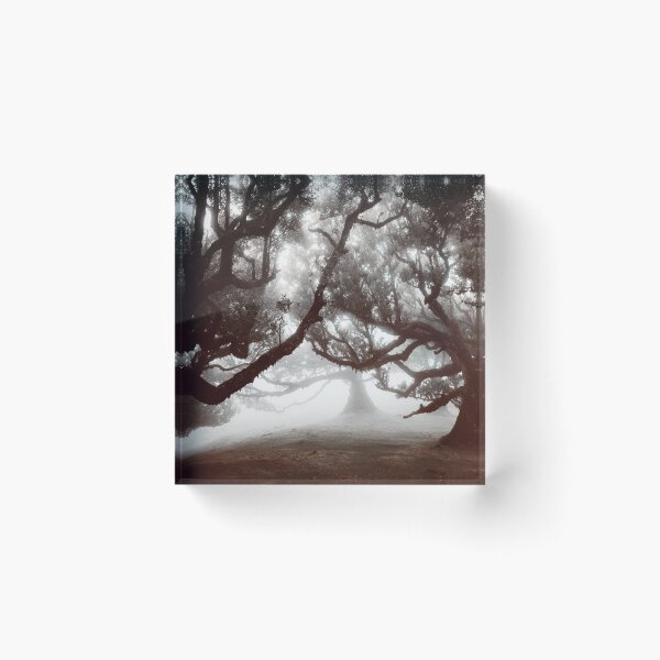 Item preview, Madeira Mystical Forest 4 designed and sold by Interpret108.