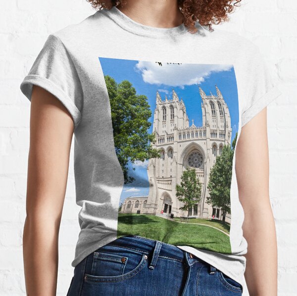 Womens Washington National Cathedral Stained Glass Window V-Neck T-Shirt