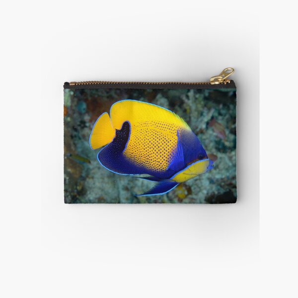 Item preview, Majestic angelfish - Pomacanthus navarcus designed and sold by Andrew Trevor-Jones.